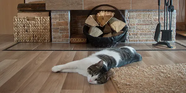 Laminat-online-kaufen-Laminat-Holz-laminat-hochwertig Katze, welche vor einem Holzofen auf einem Laminatboden vor dem Ofen liegt.