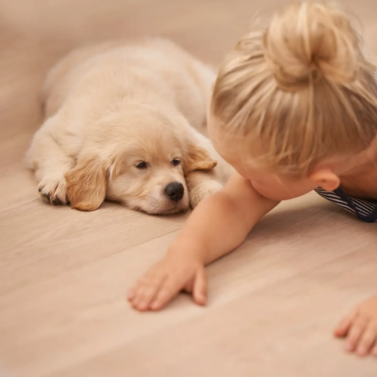 Vinyl-Kategorie Kleines Mädchen mit Golden Retriever Hund auf dem Boden liegend