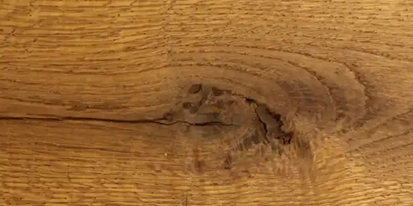 maroneiche geöltes Parkett maroneiche geöltes Parkett